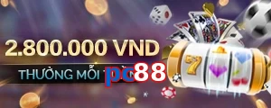 pc88